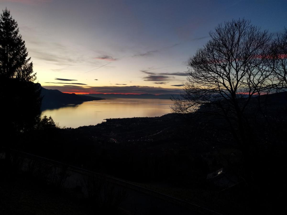 Elvira House Montreux, Un Lieu Magique ! Villa Eksteriør bilde