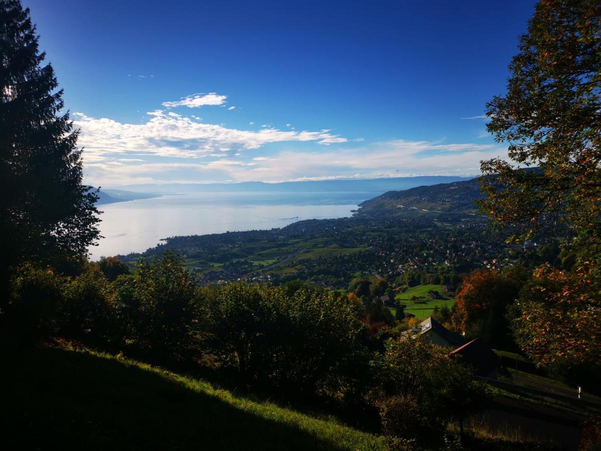 Elvira House Montreux, Un Lieu Magique ! Villa Eksteriør bilde