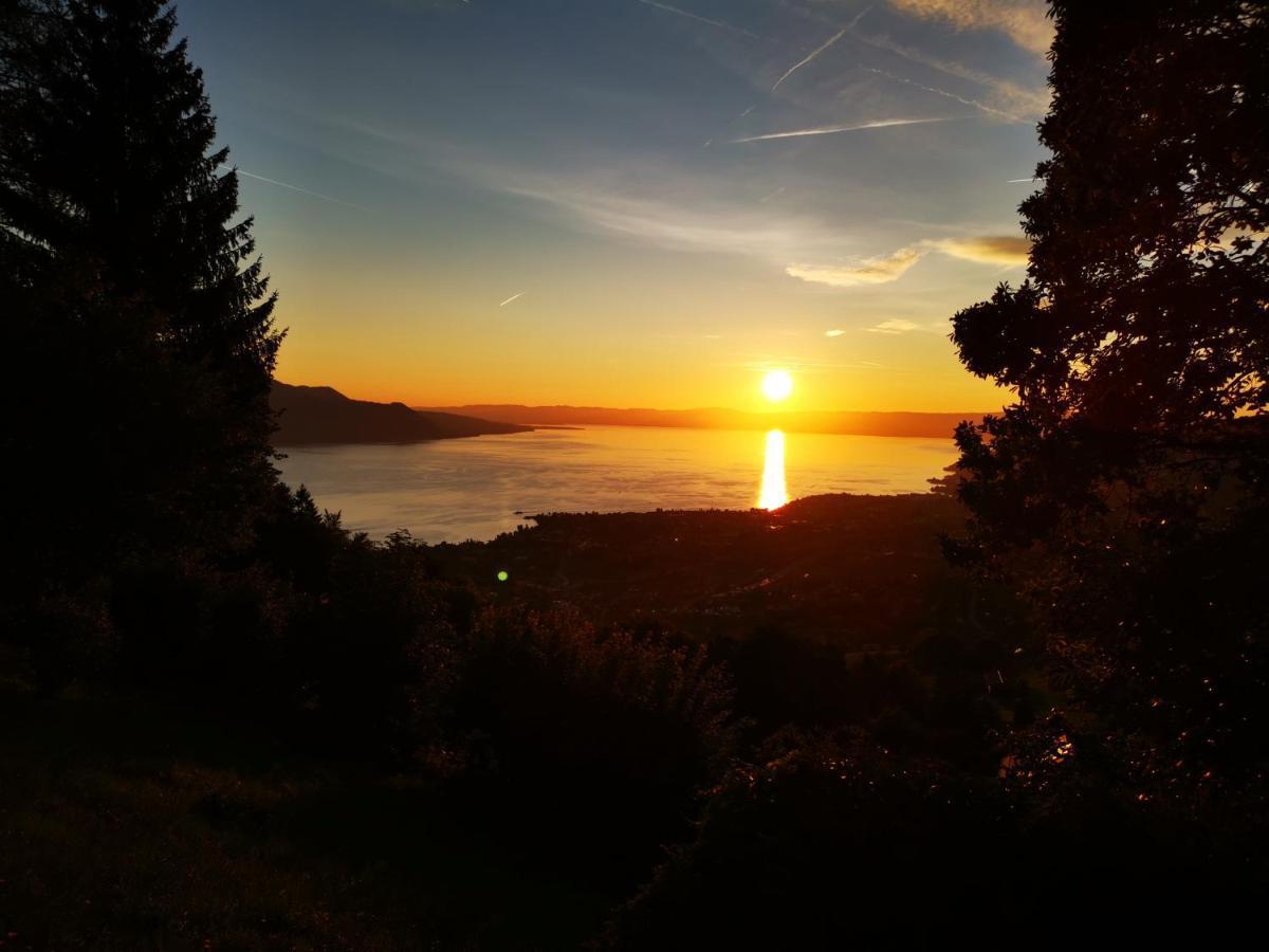 Elvira House Montreux, Un Lieu Magique ! Villa Eksteriør bilde